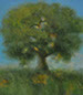 Thomas Stotts' Tranquility 16 x 40 for sale at the Milan Art Gallery in Downtown Fort Worth Texas